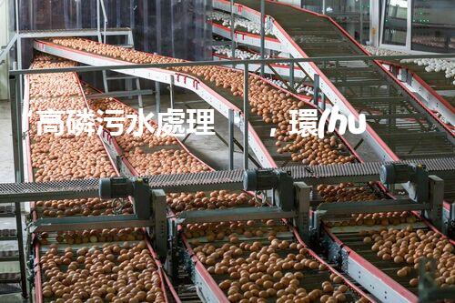 “高磷污水處理，環(huán)保先鋒，守護碧水藍天！”